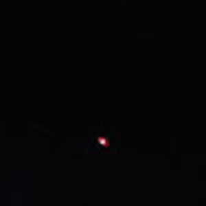 Meet your Posher, Shane